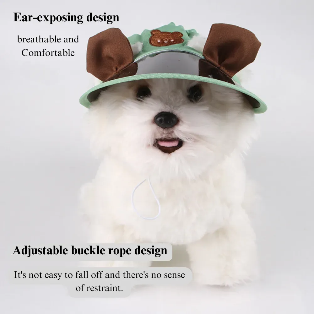 Cat and dog outdoor accessory