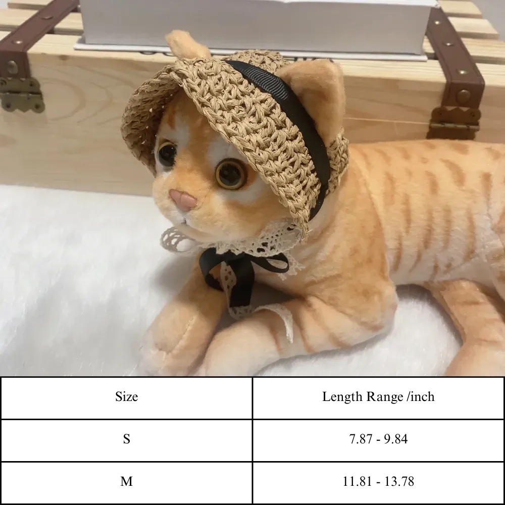 Outdoor pet sun protection Pet travel accessories