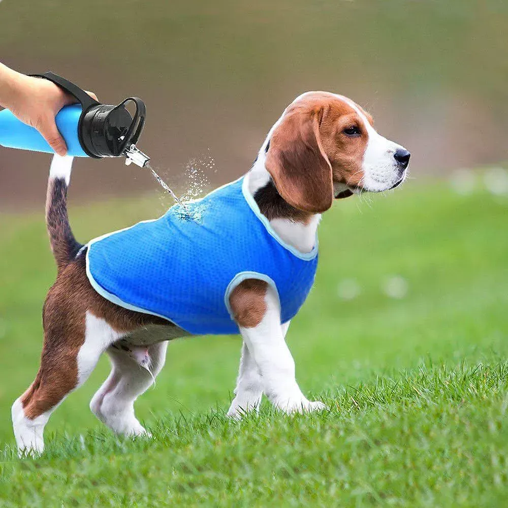 Hot weather pet protection