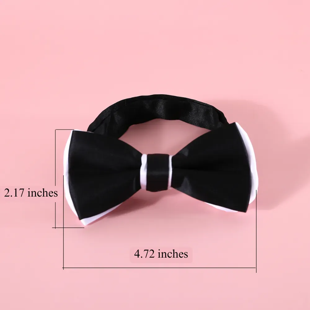 Pet boutique costume