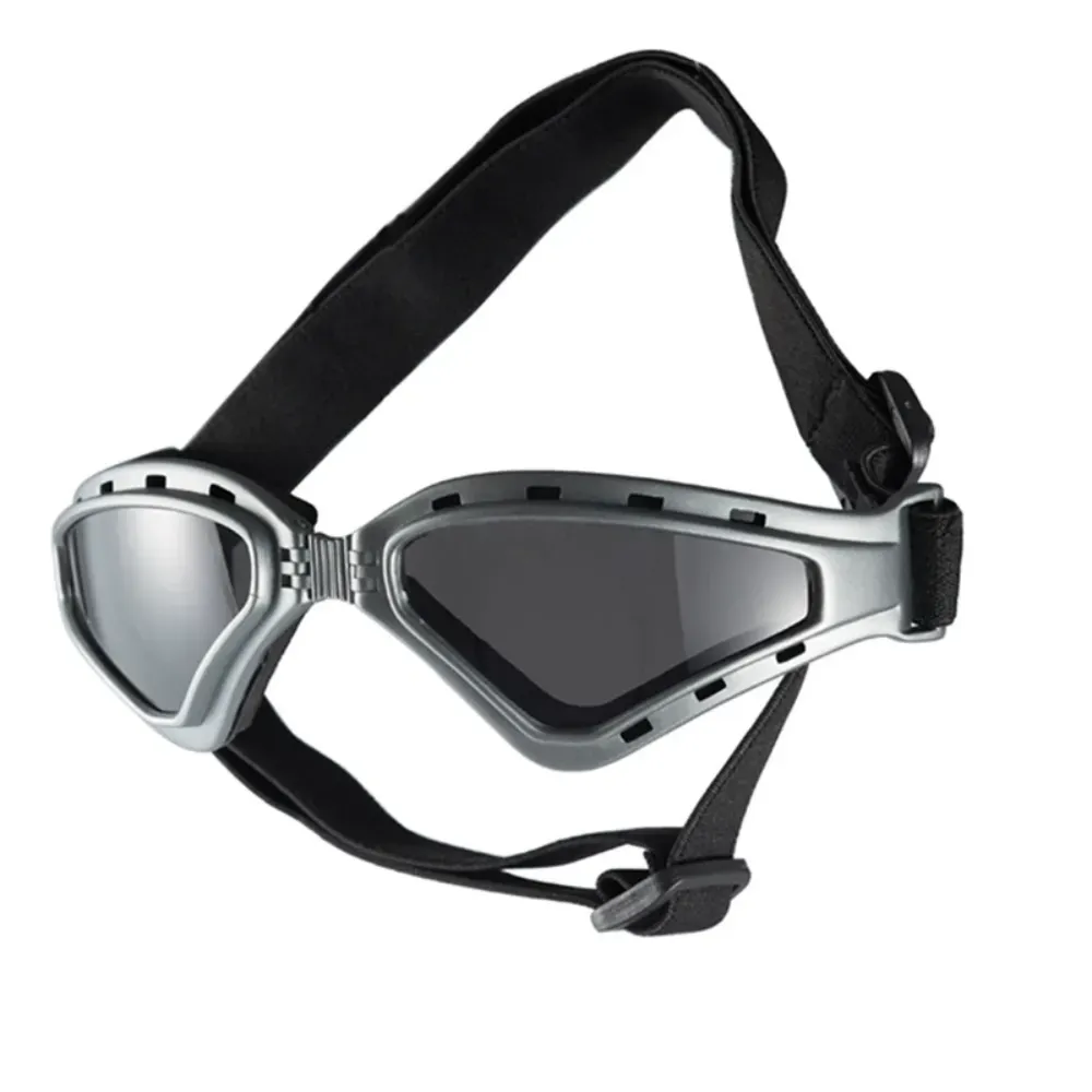 motorcycle dog glasses