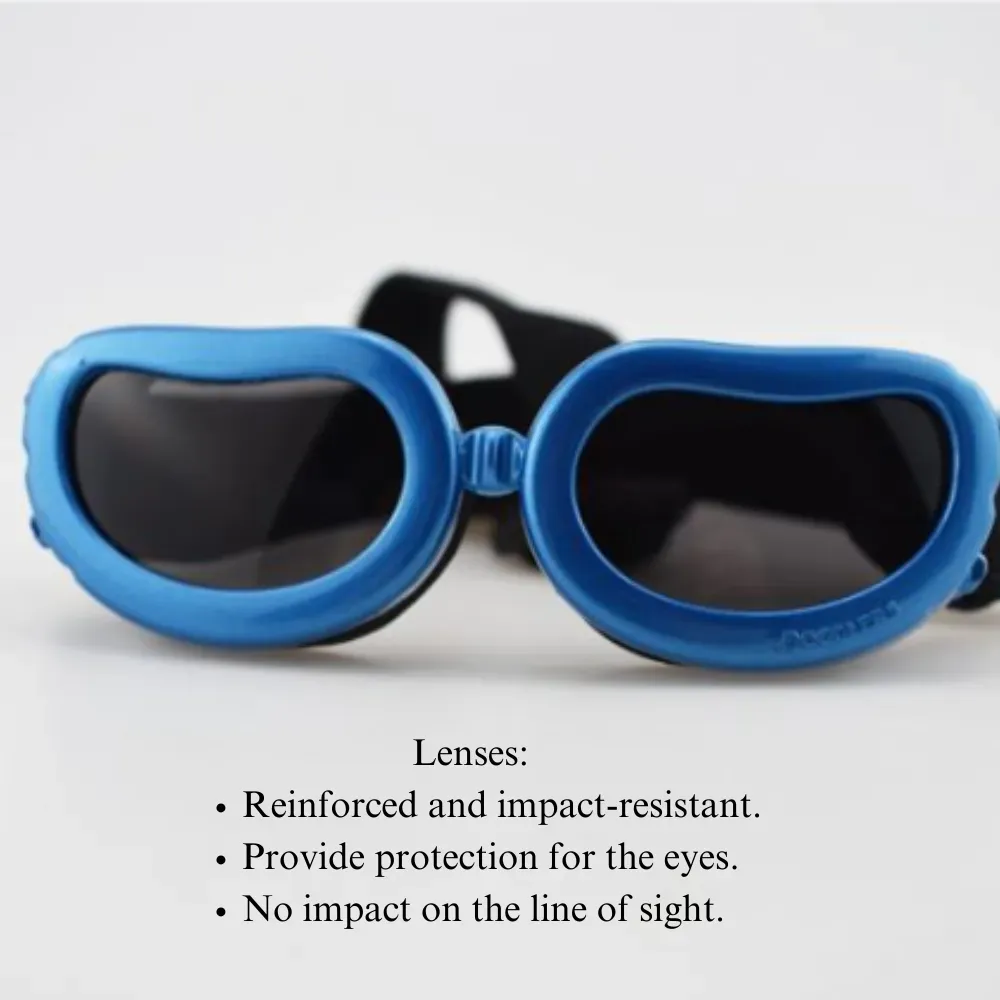adventure pet eyewear