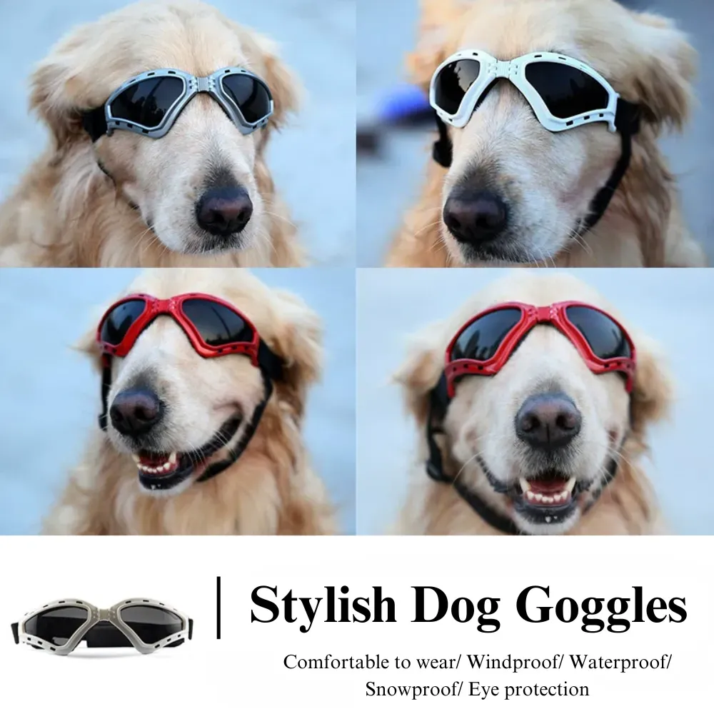 dustproof pet eyewear