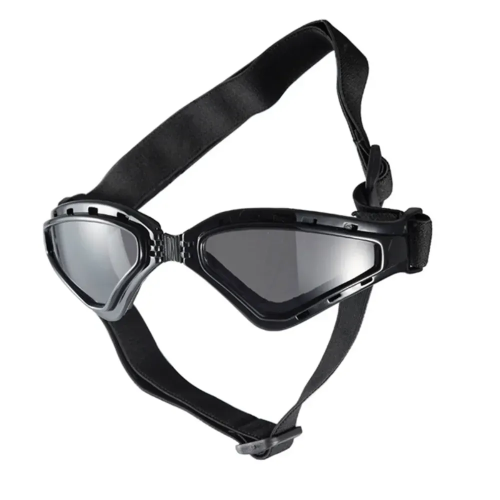 pet safety eyewear