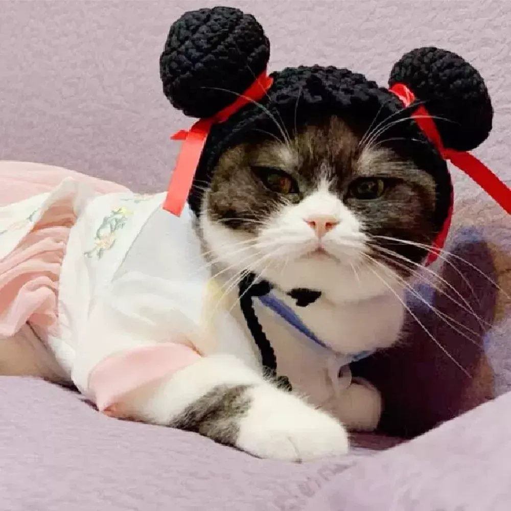 Nezha pet hat dog costume
