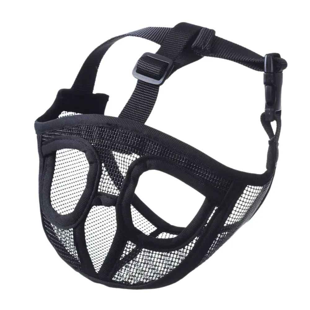 brachycephalic dog muzzle