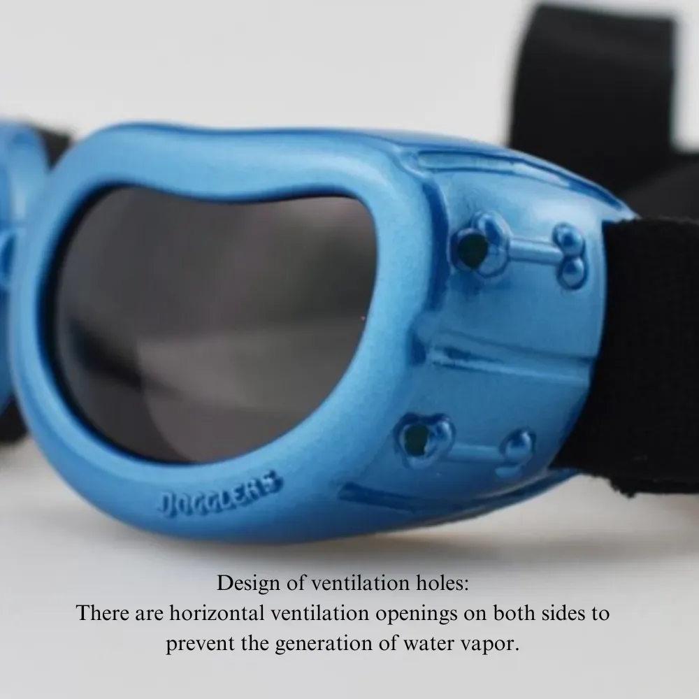 stylish pet sunglasses