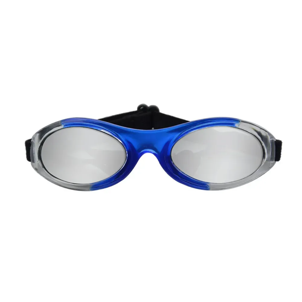 dog sun glasses