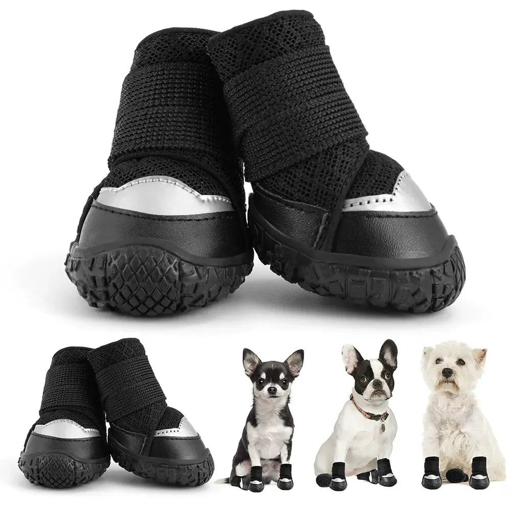 small dog footwear