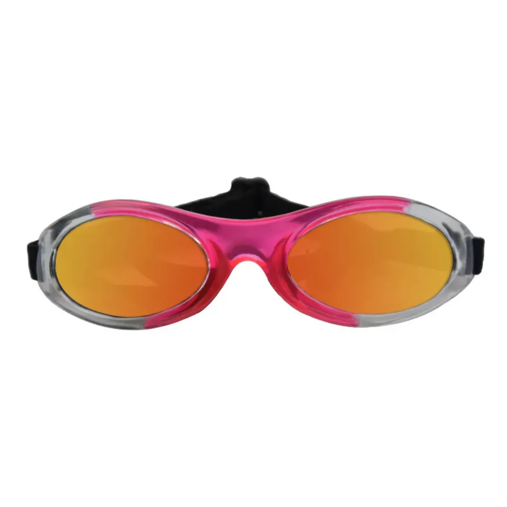 small dog sunglasses