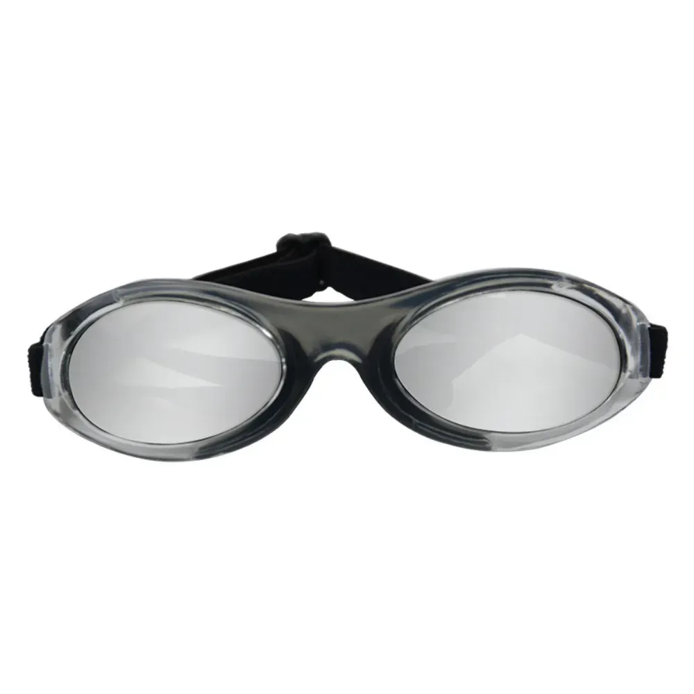 cat sunglasses