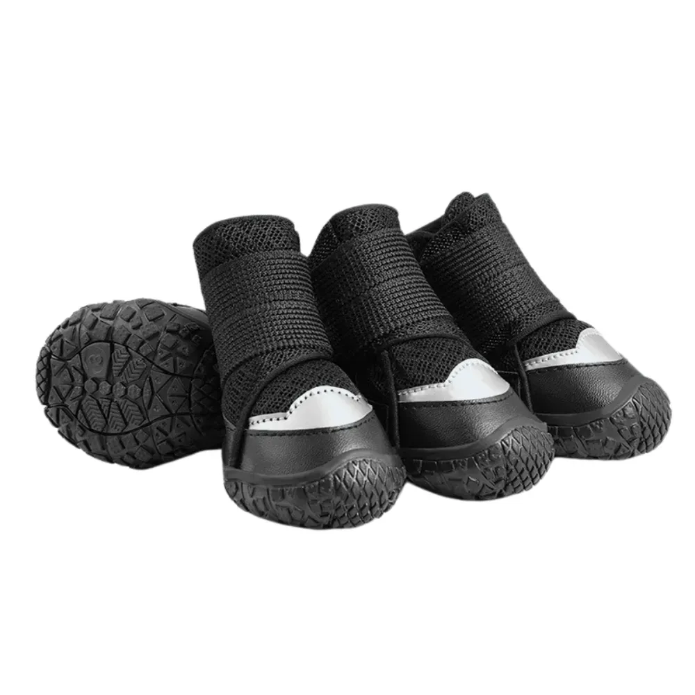 Poodle pet shoes