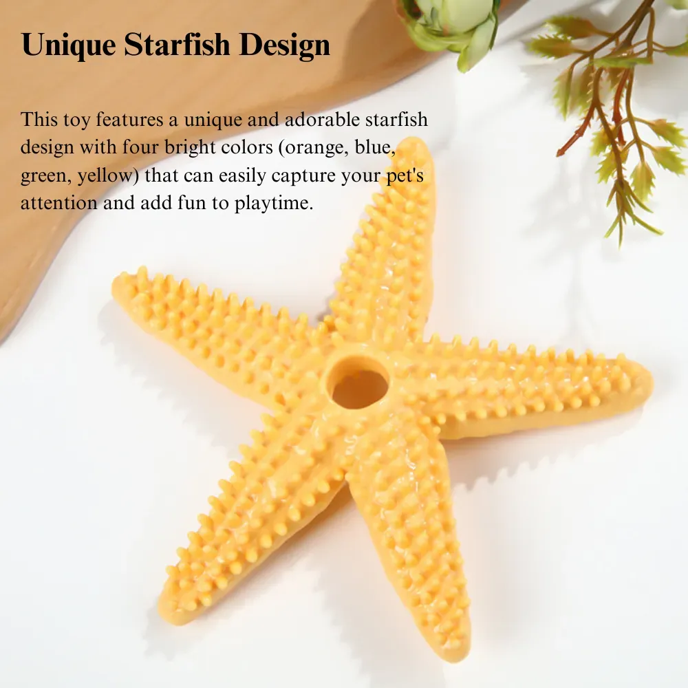 fetch toy for dogs