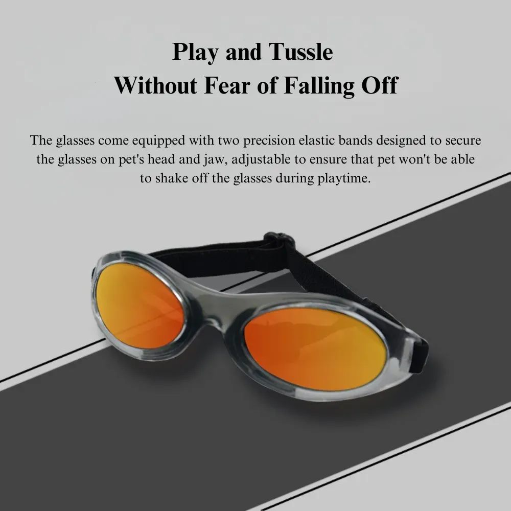 outdoor pet sunglasses