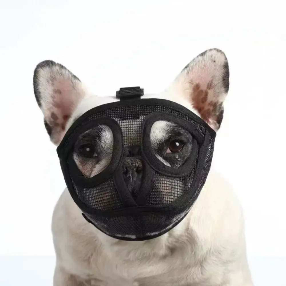 dog mouth guard