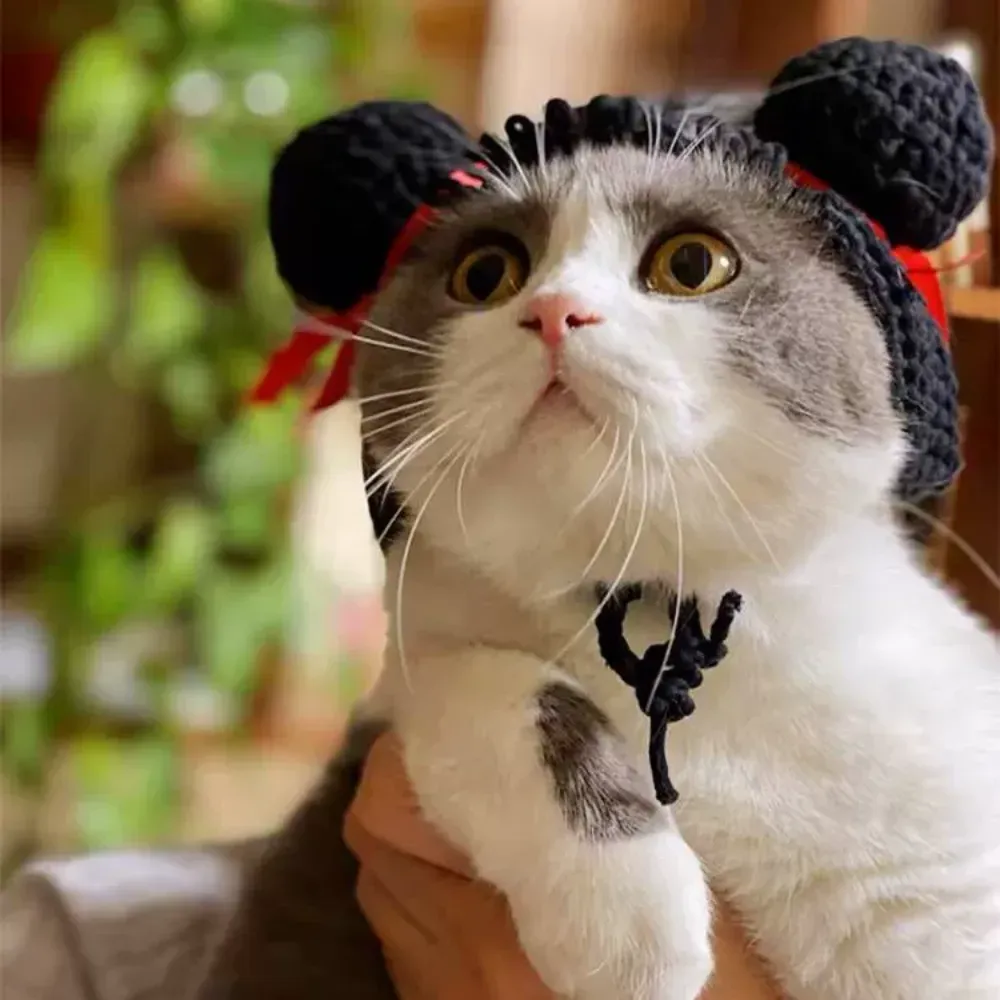 cat crochet hat pet party hat