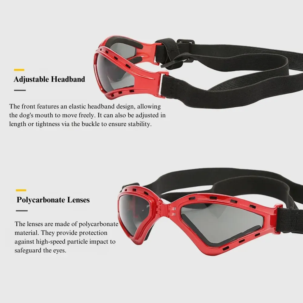 stylish dog sunglasses
