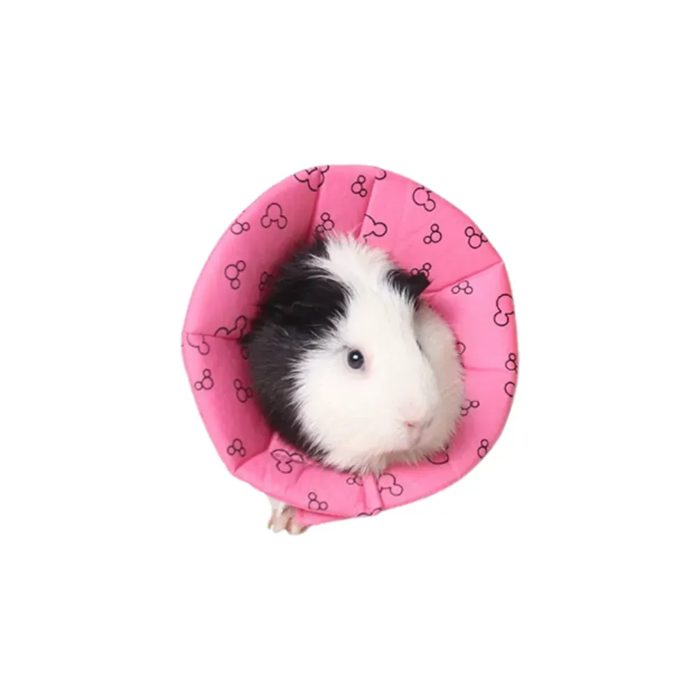 adjustable pet collar