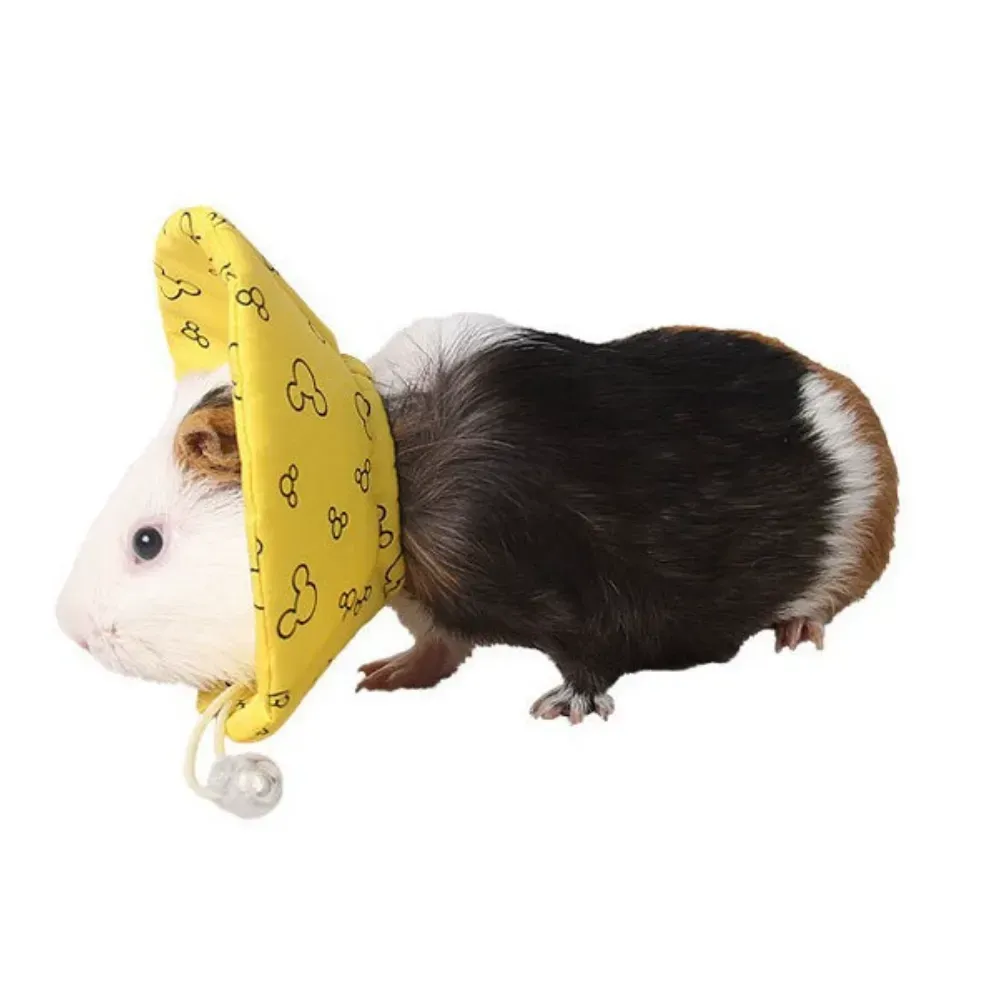 injury prevention collar