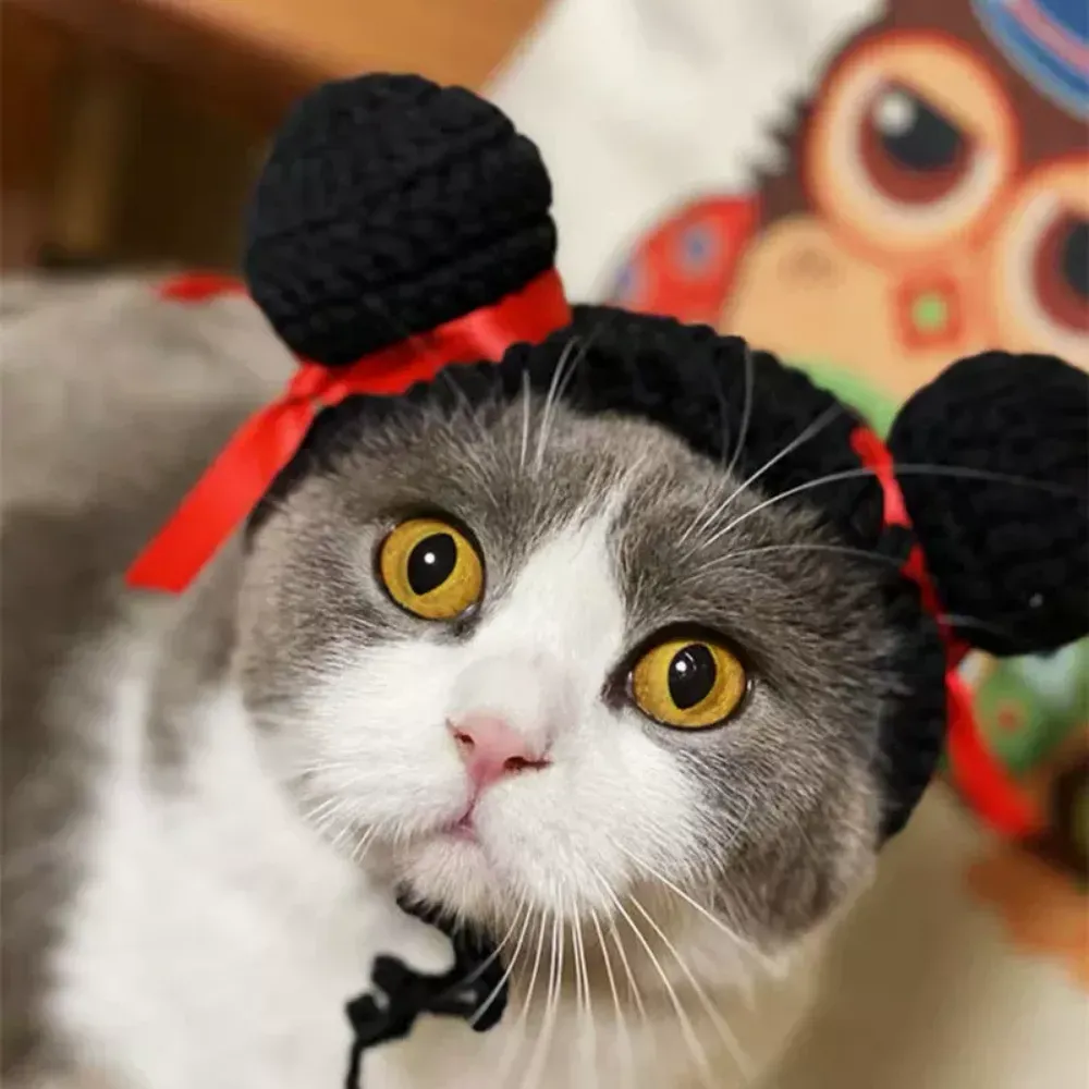 animal-themed pet hat cat costume