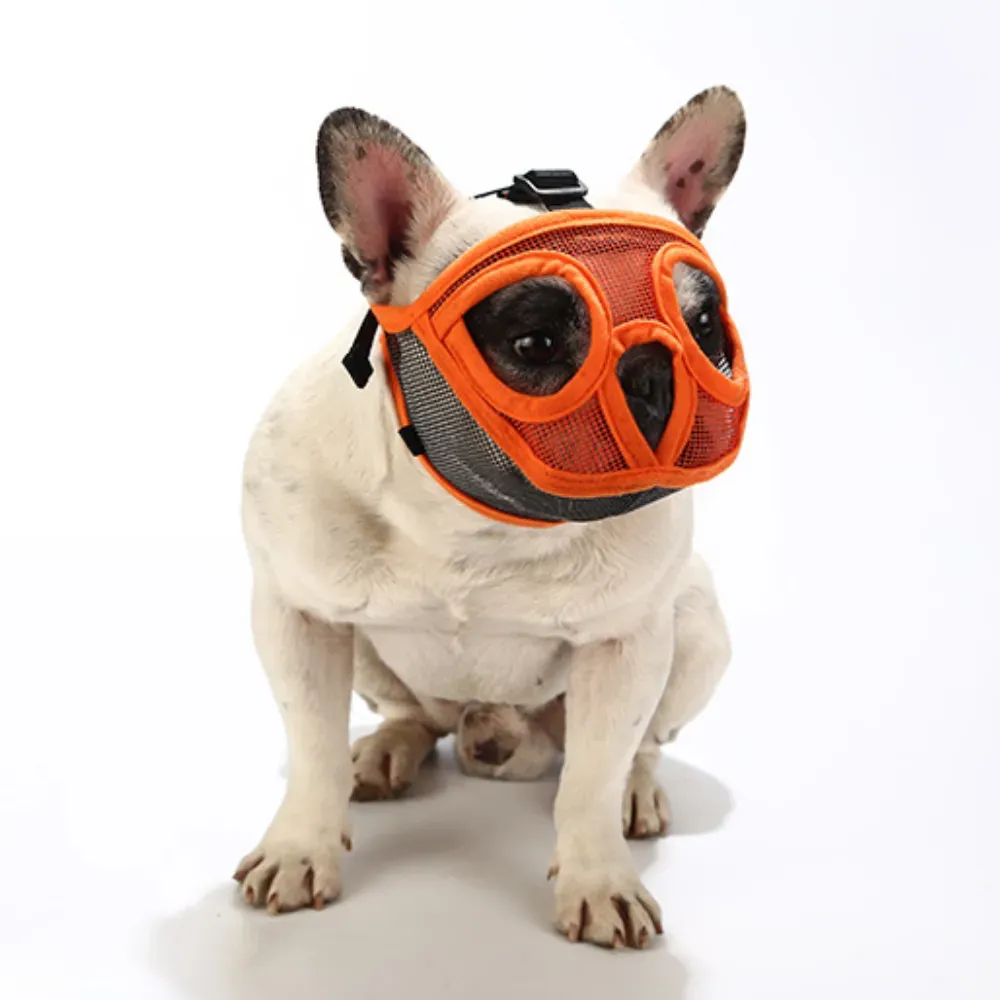 comfortable dog muzzle