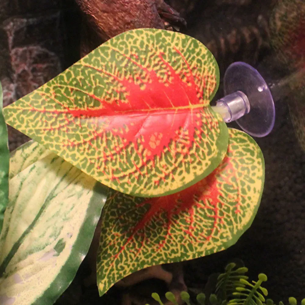Perfect for bioactive and naturalistic terrarium setups