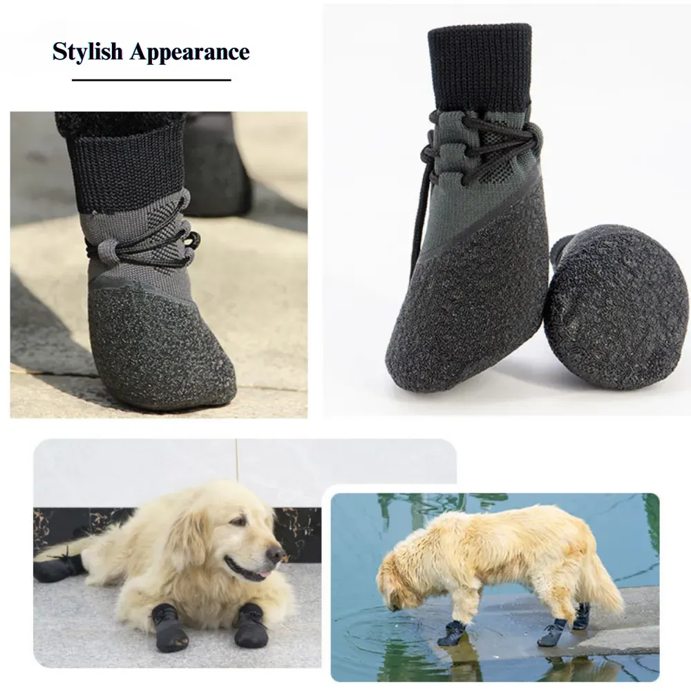 Dog shoes for protection