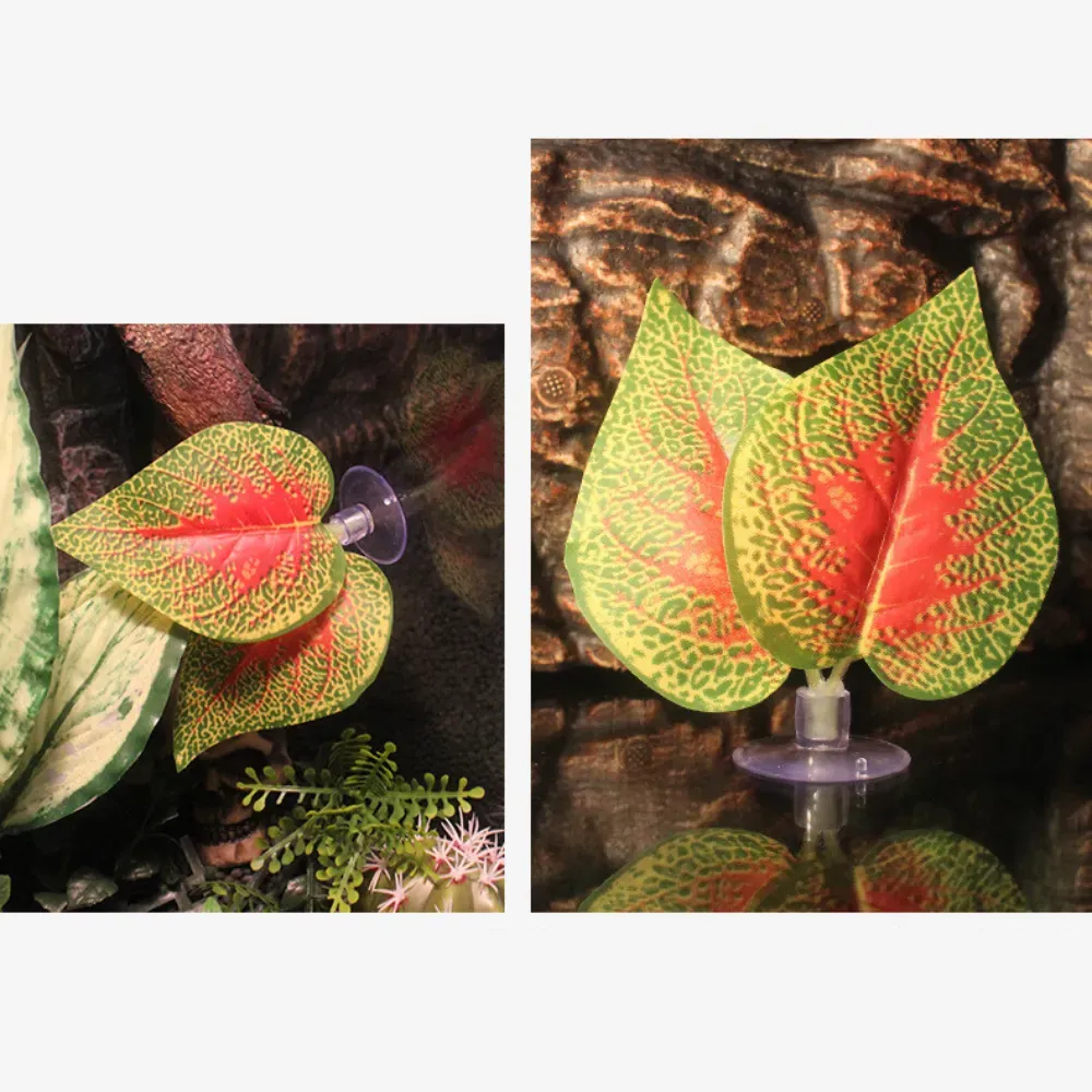 Provides hiding and climbing spots for reptiles