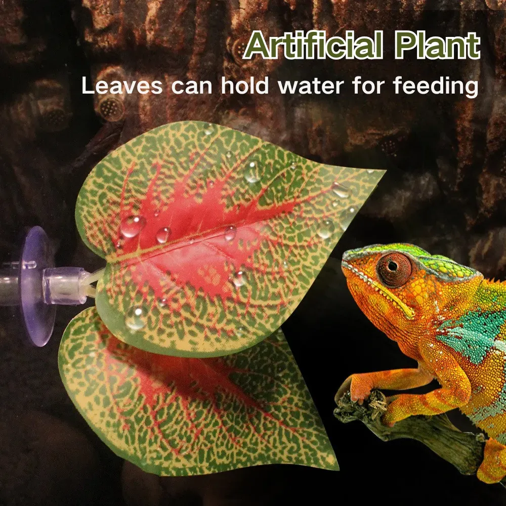 Enhances hydration by mimicking natural leaf water collection