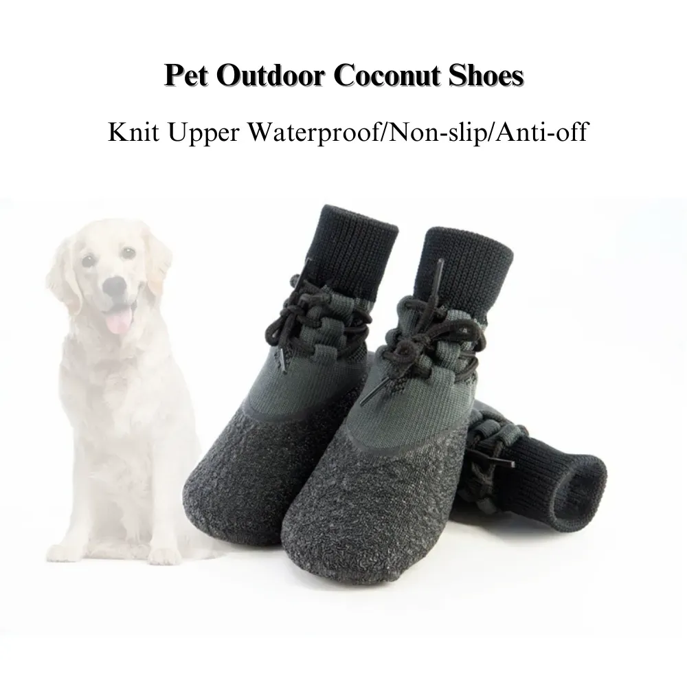 Stylish dog shoes