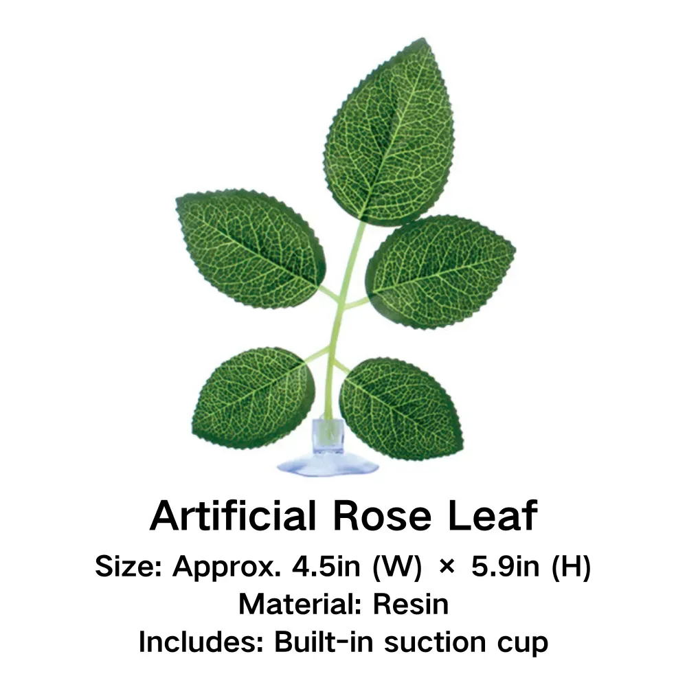 Supports hydration by allowing water droplets to collect