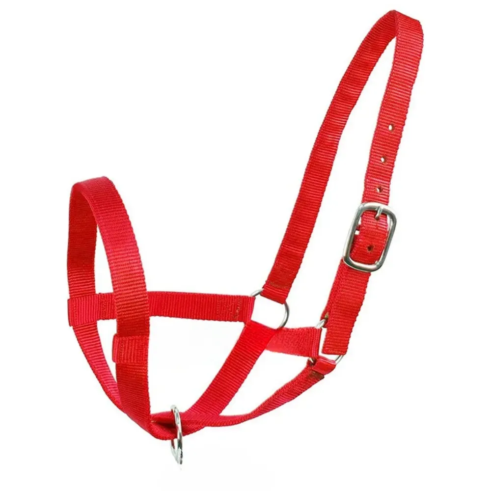 Horse handling equipment