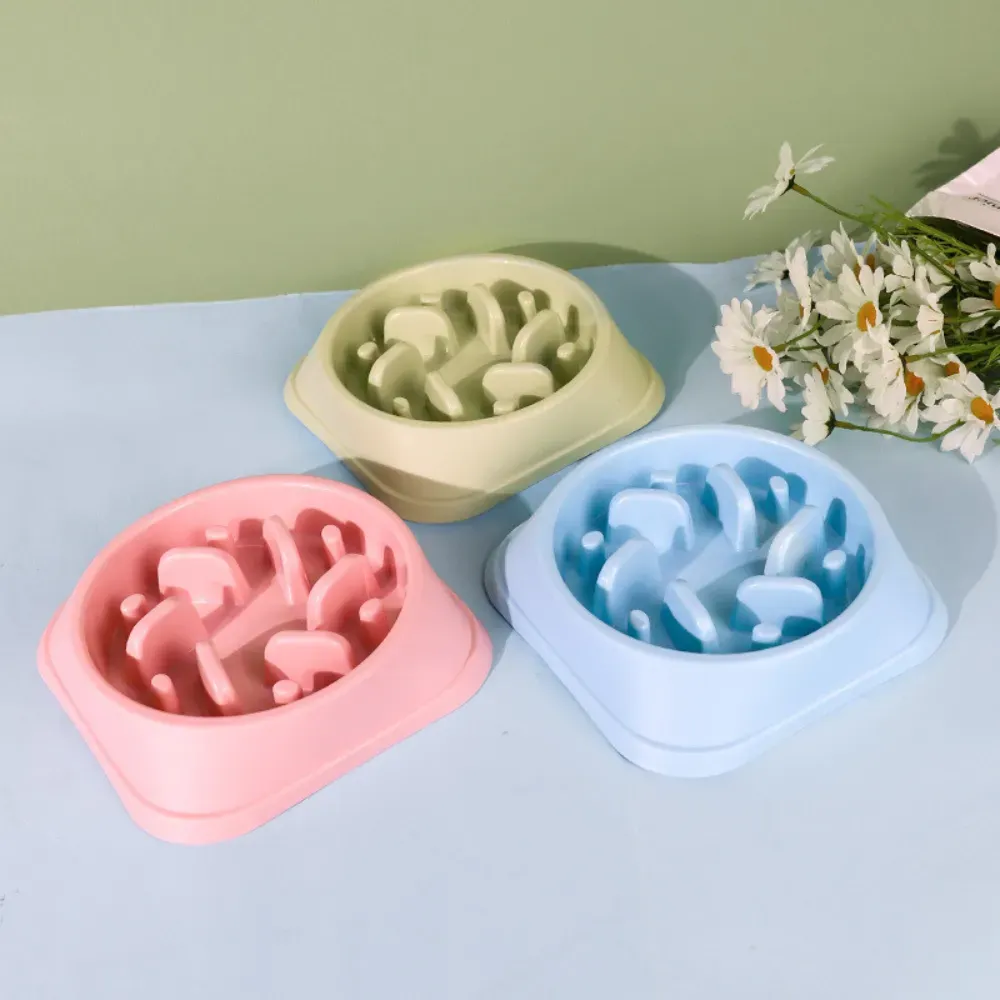 Great Dog Slow Feeder Bowl Quality