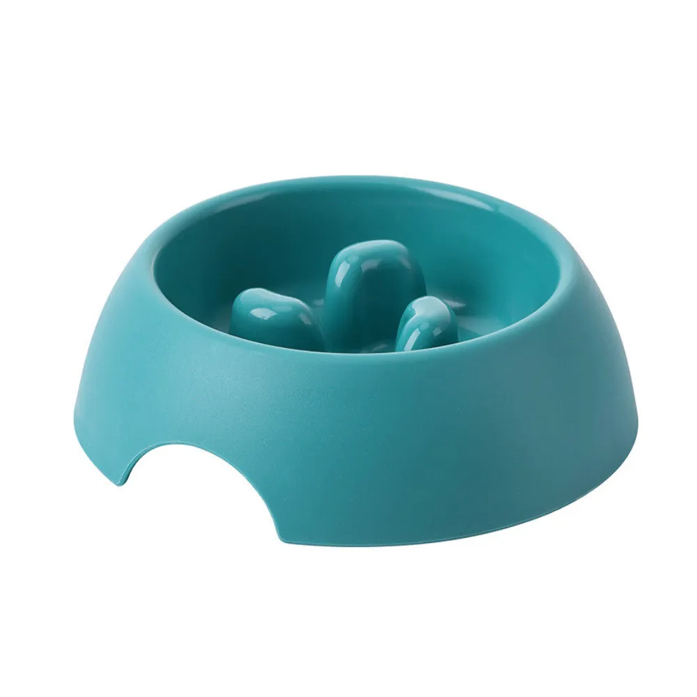Pet Slow Eating Dog Bowl