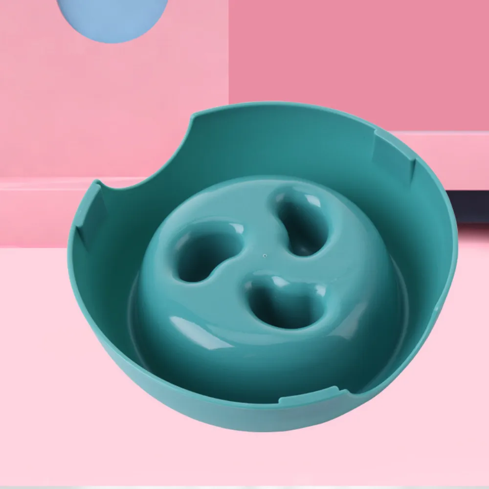 Cat Slow Eating Dog Bowl