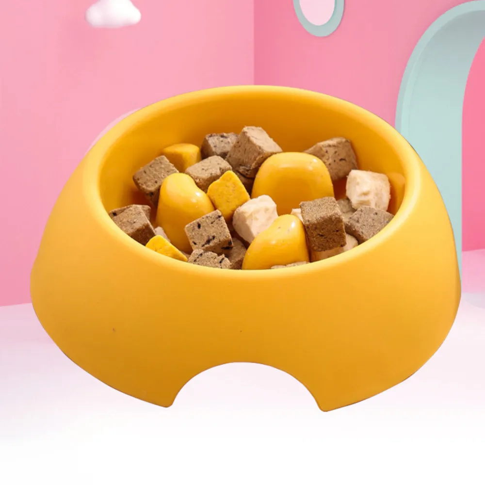Slow Eating Dog Bowl