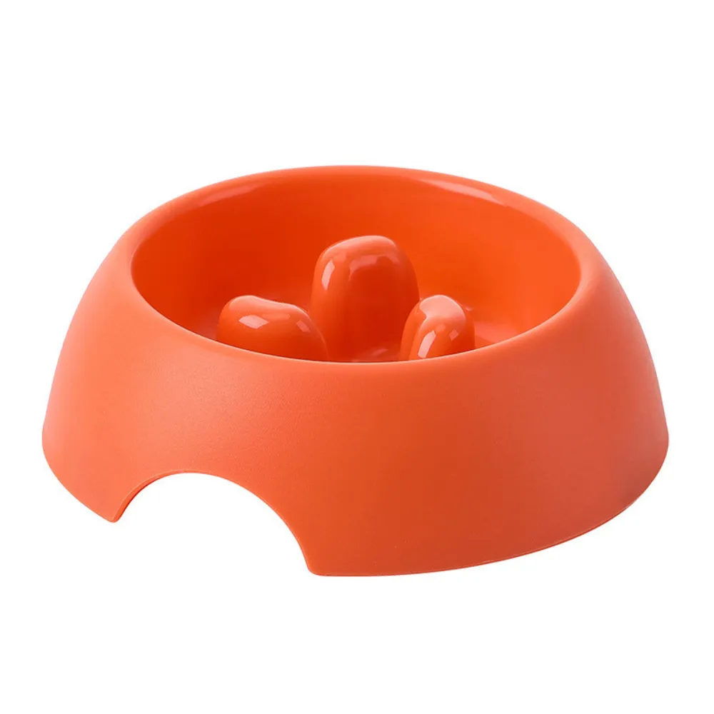 Quality Slow Eating Dog Bowl