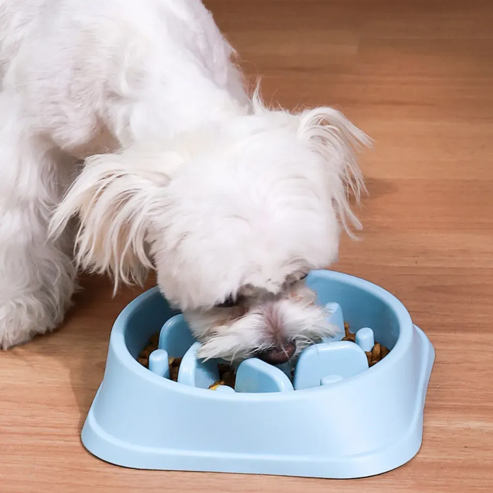 Pet Dog Slow Feeder Bowl