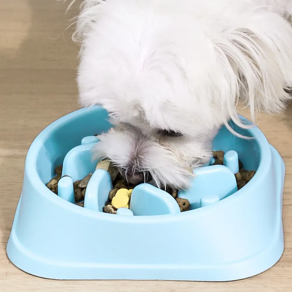 Pet Dog Slow Feeder Bowl Hot
