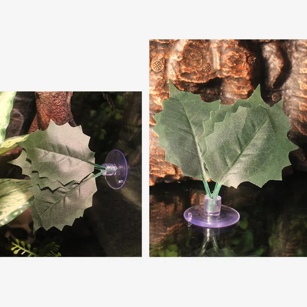 Suitable for arboreal and terrestrial reptile species