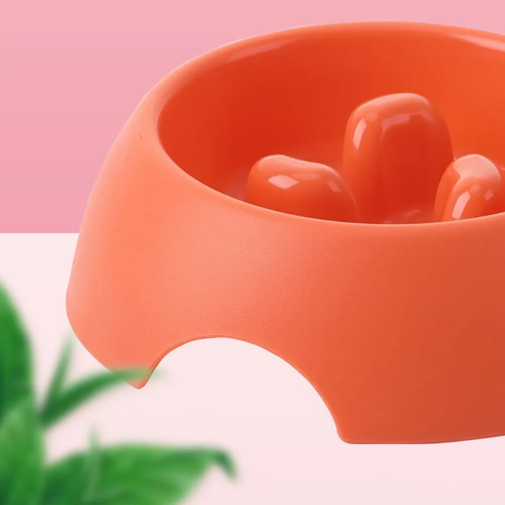 Wholesale Slow Eating Dog Bowl
