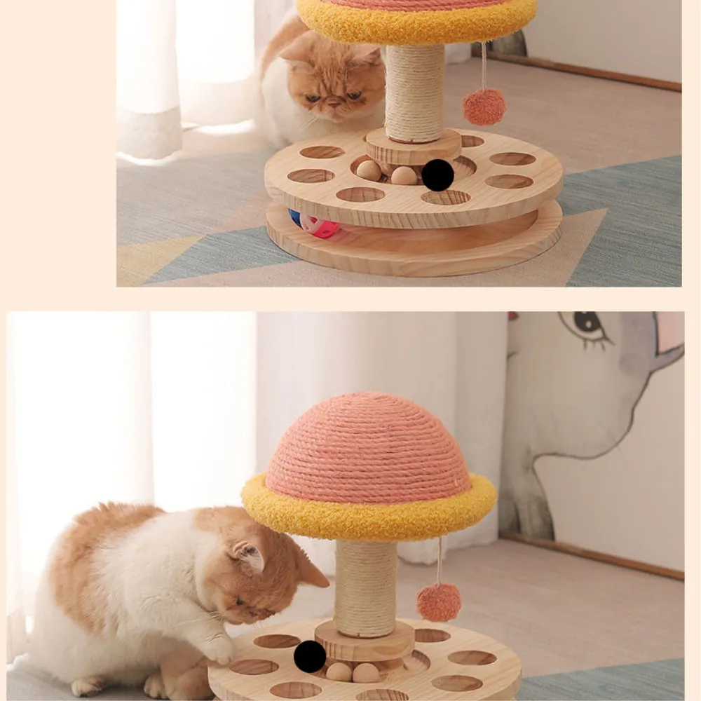 Cat Track Balls