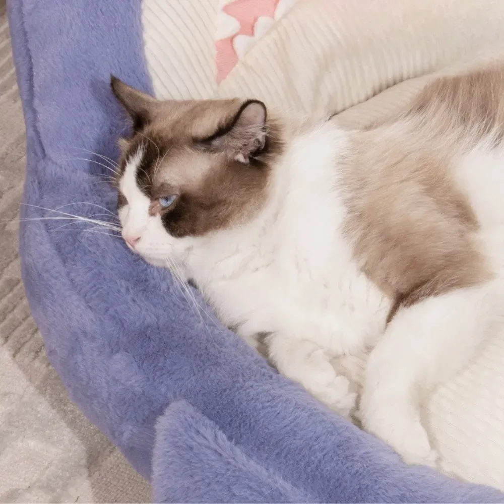 Easy to clean removable cushion for hygiene
