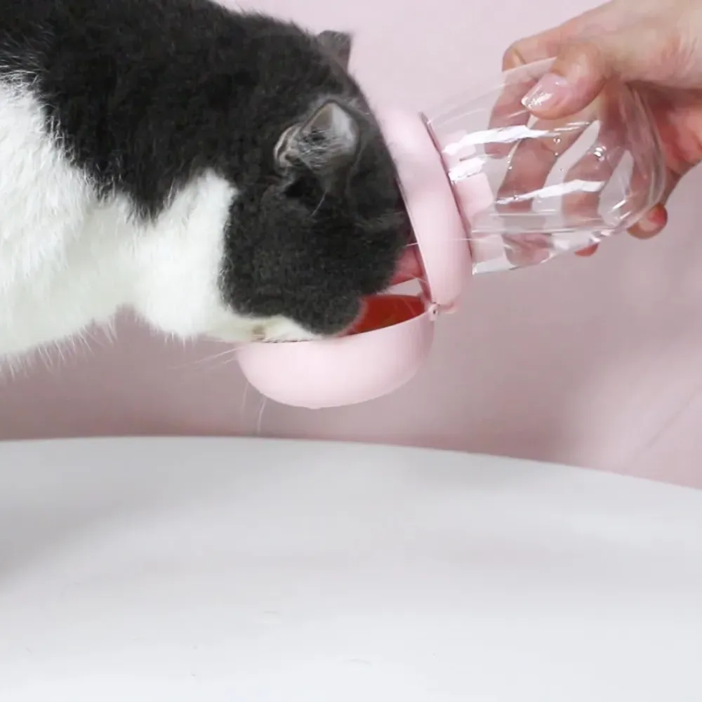 Quality Dog Water Bottle