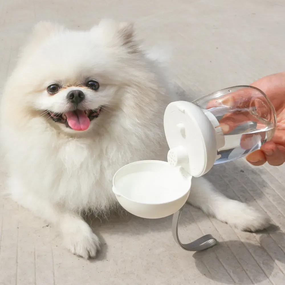 Wholesale Dog Water Bottle