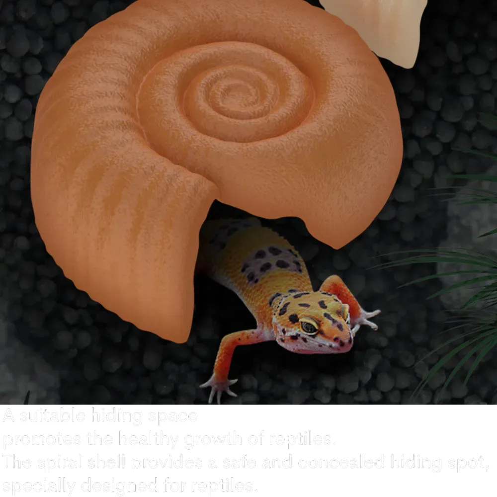 Rainforest terrarium decor with spiral shell cave