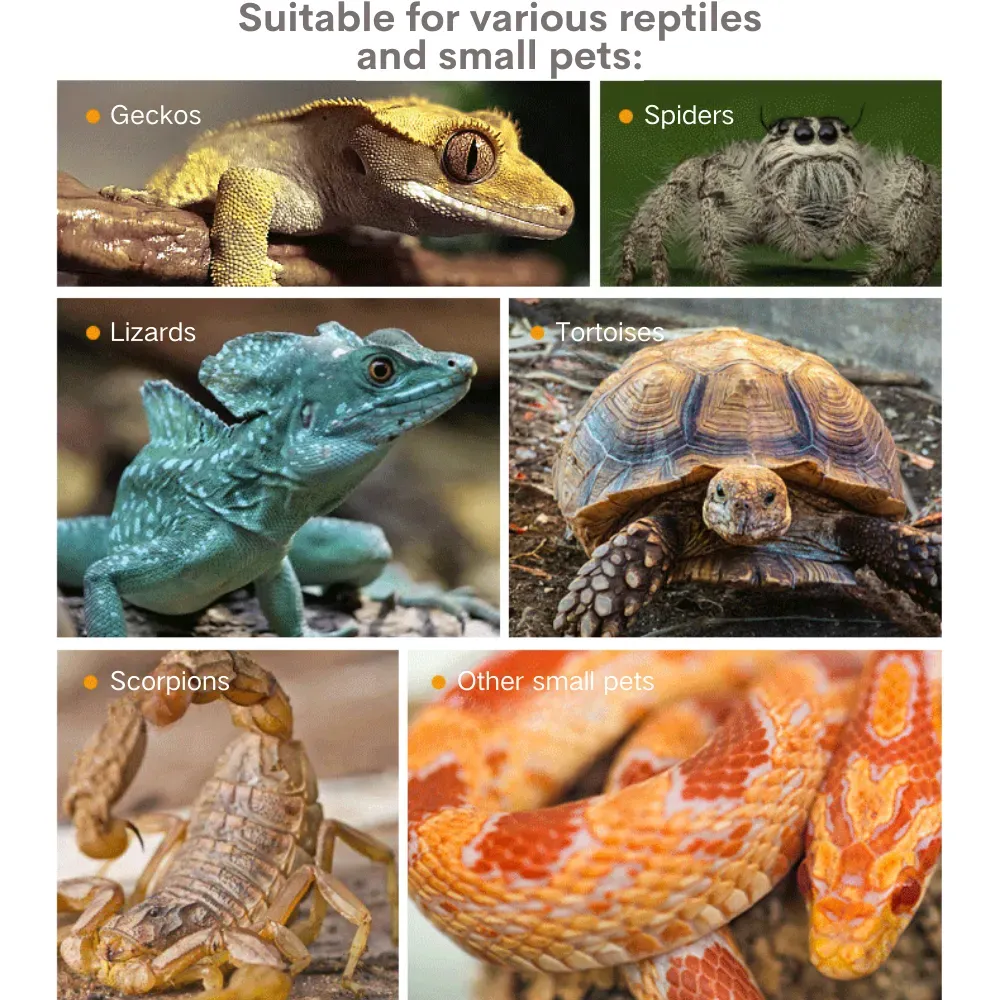 Versatile Reptile Hideout (4) Smooth interior surface for easy cleaning