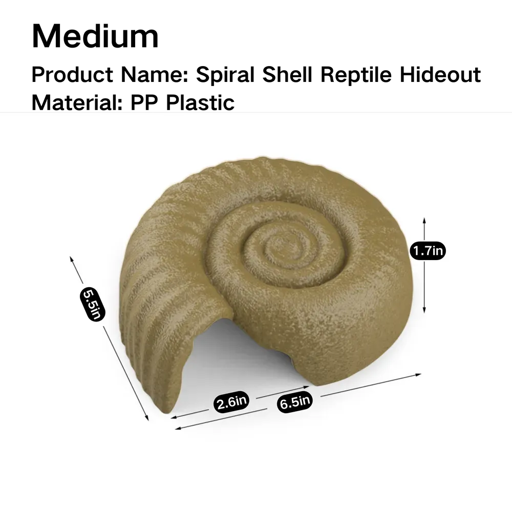 Realistic spiral shell for terrarium aesthetics