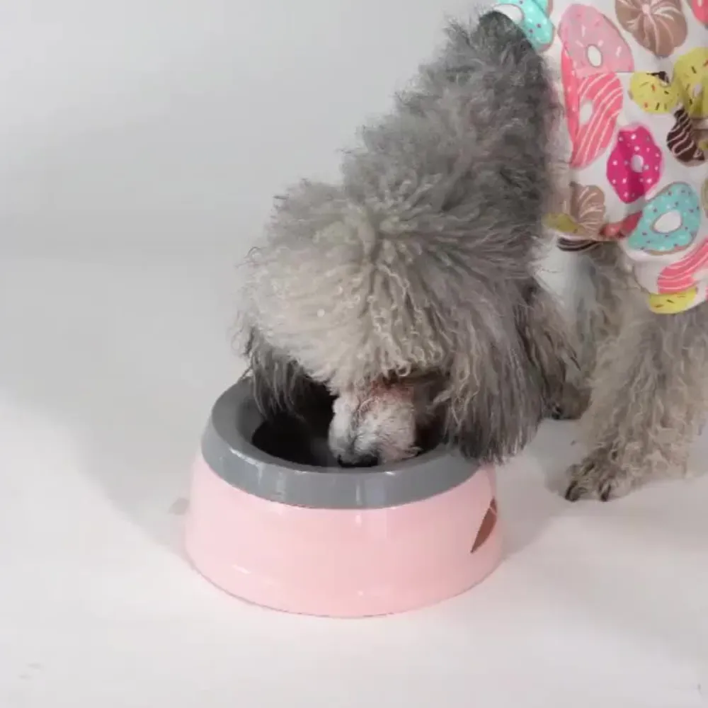 Pet Pet Water Bowl