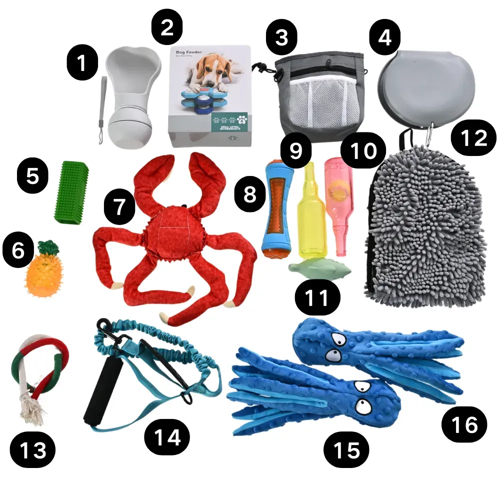 Pet Pet Products Sample Pet Pet Products Sample